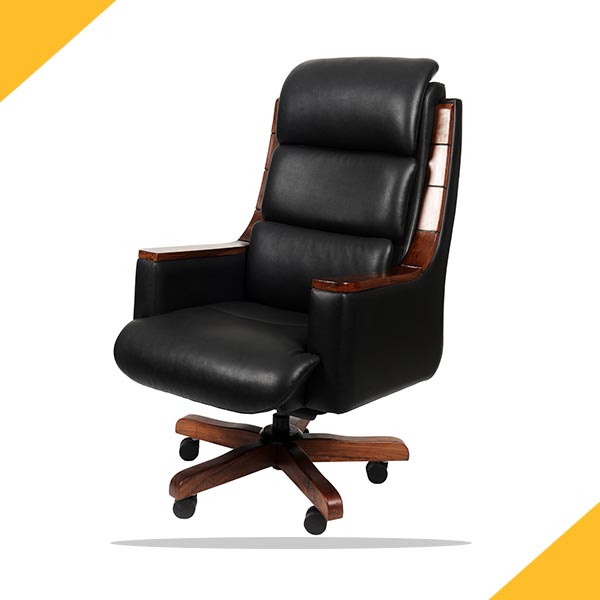 director chair supplier in chandigarh